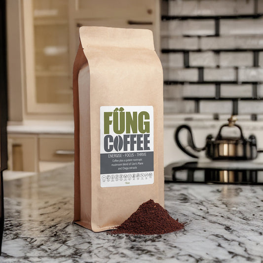 Mushroom Coffee Fusion - Lion’s Mane & Chaga 16oz